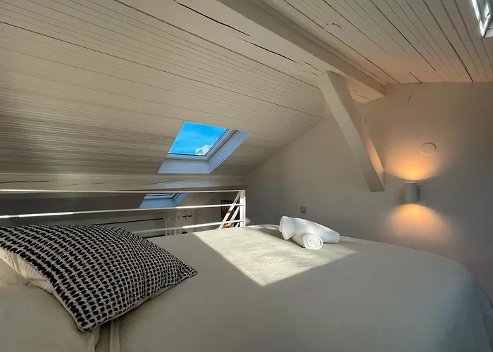 Palm Spring Apartament Villeurbanne