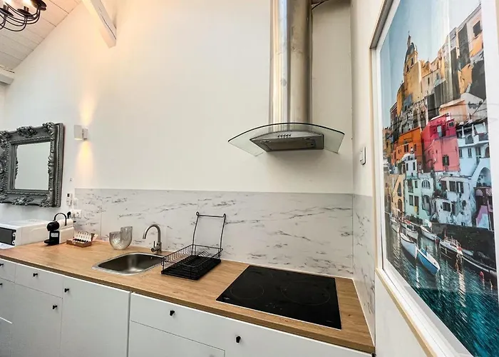 Palm Spring Apartament Villeurbanne